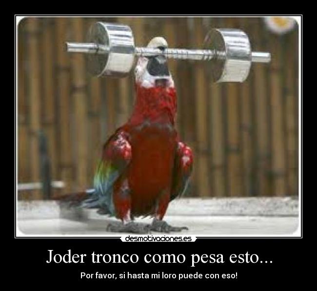 Joder tronco como pesa esto... - Por favor, si hasta mi loro puede con eso!