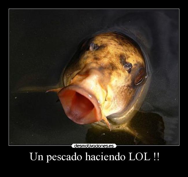 Un pescado haciendo LOL !! - 