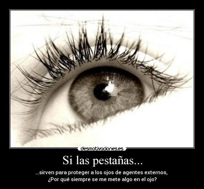 Si las pestañas... - ...sirven para proteger a los ojos de agentes externos,
¿Por qué siempre se me mete algo en el ojo?