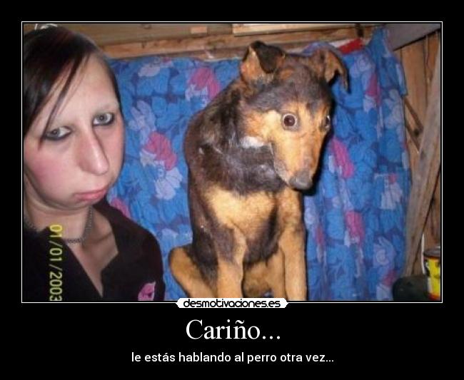 Cariño... - le estás hablando al perro otra vez...