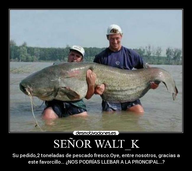 SEÑOR WALT_K - 