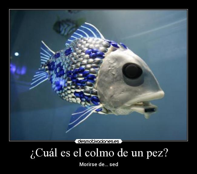 ¿Cuál es el colmo de un pez? - 