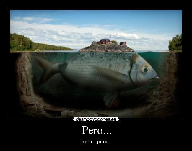 Pero... - pero... pero...