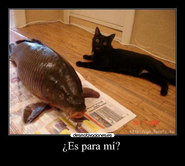 ¿Es para mí? -