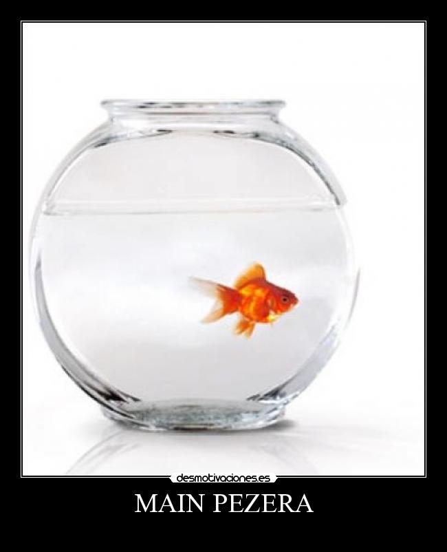 carteles desmotivaciones