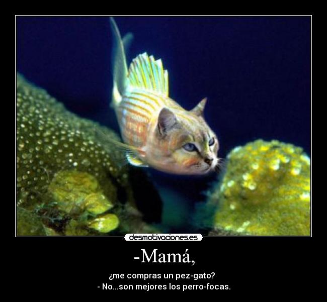 -Mamá, - ¿me compras un pez-gato?  
- No...son mejores los perro-focas.