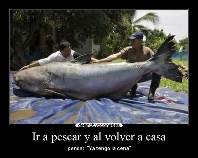 Ir a pescar y al volver a casa - pensar: Ya tengo la cena
