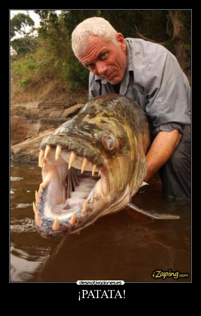 ¡PATATA! -