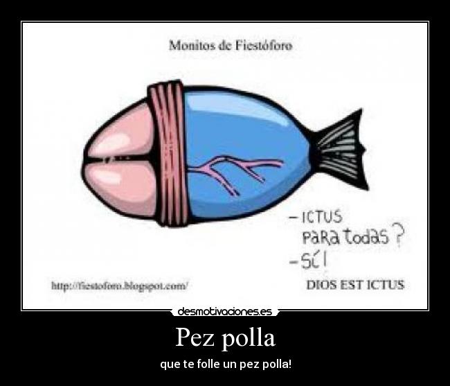 Pez polla - 