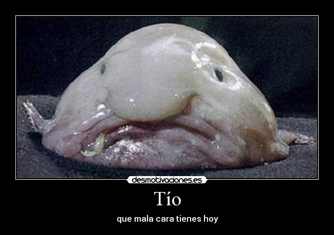 Tío - que mala cara tienes hoy