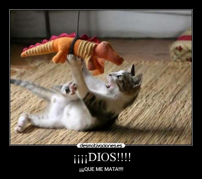¡¡¡¡DIOS!!!! - 