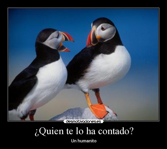 ¿Quien te lo ha contado? - 