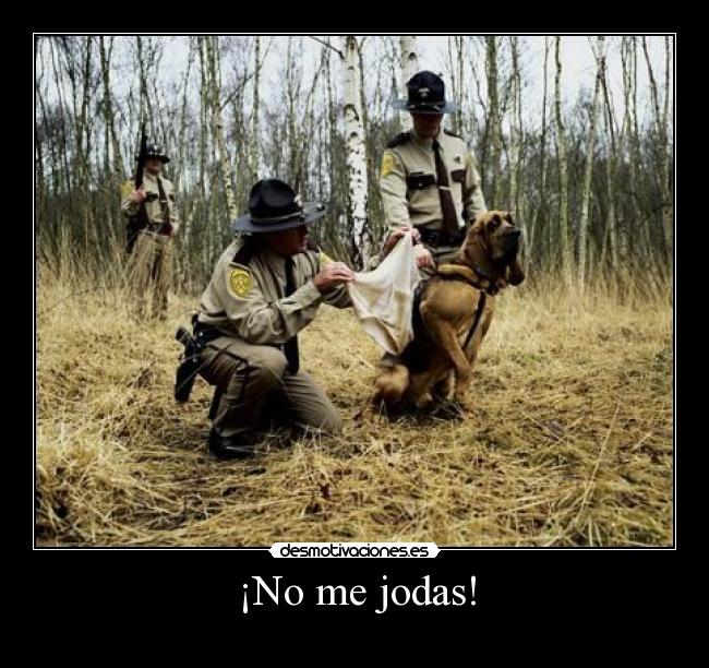 ¡No me jodas! - 