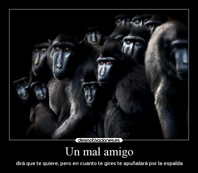 Un mal amigo - dirá que te quiere, pero en cuanto te gires te apuñalará por la espalda