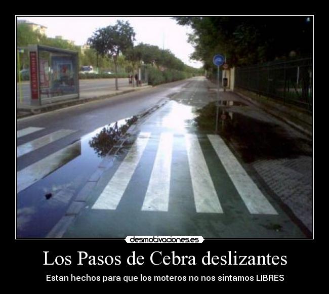 Los Pasos de Cebra deslizantes - Estan hechos para que los moteros no nos sintamos LIBRES