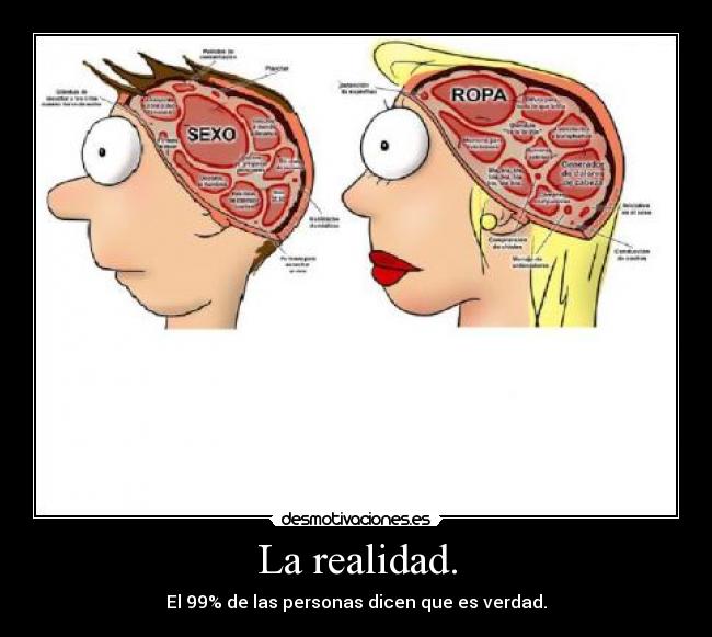 La realidad. - 