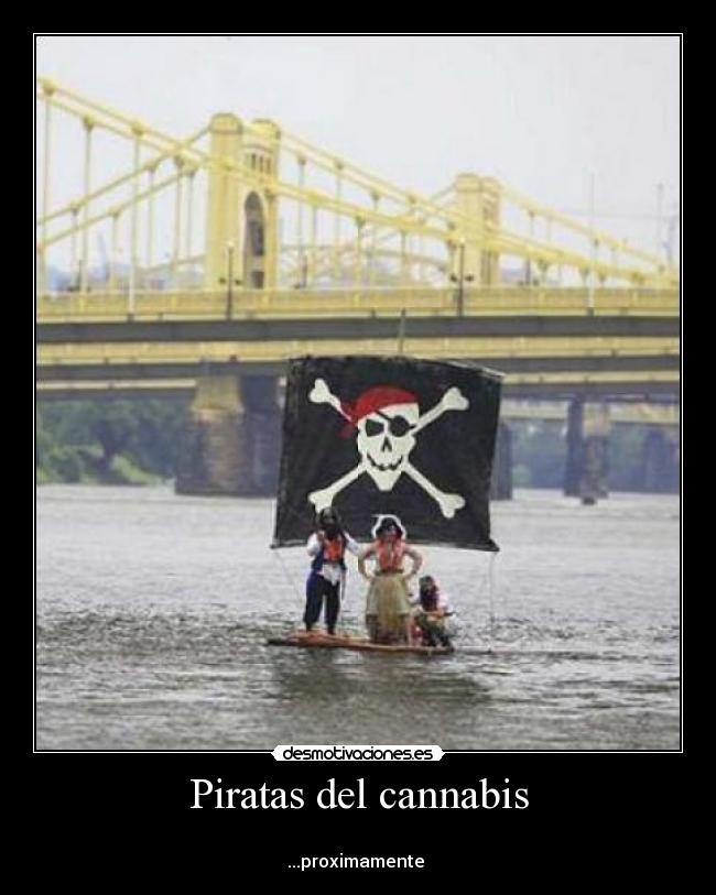 Piratas del cannabis -