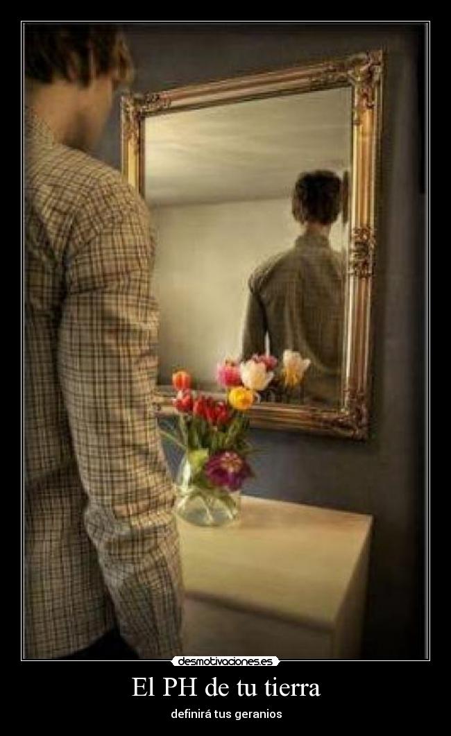 El PH de tu tierra - 