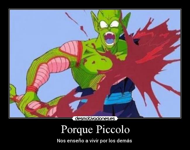 Porque Piccolo - 