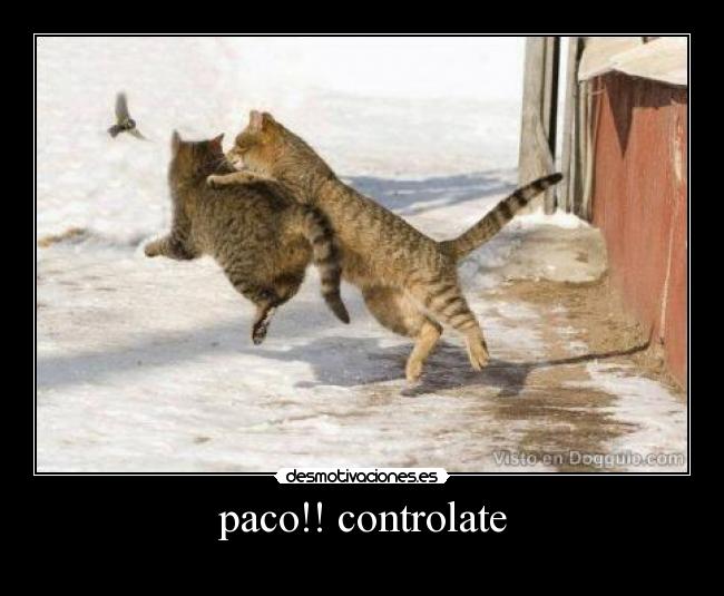 paco!! controlate -