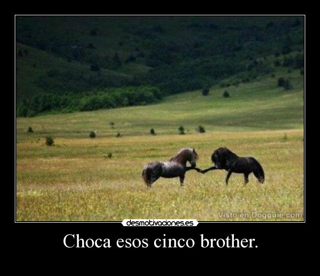 Choca esos cinco brother. -