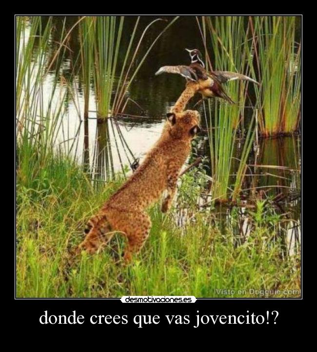 donde crees que vas jovencito!? - 