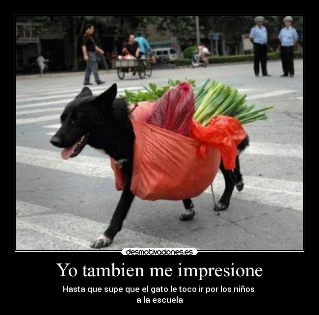 Yo tambien me impresione -
