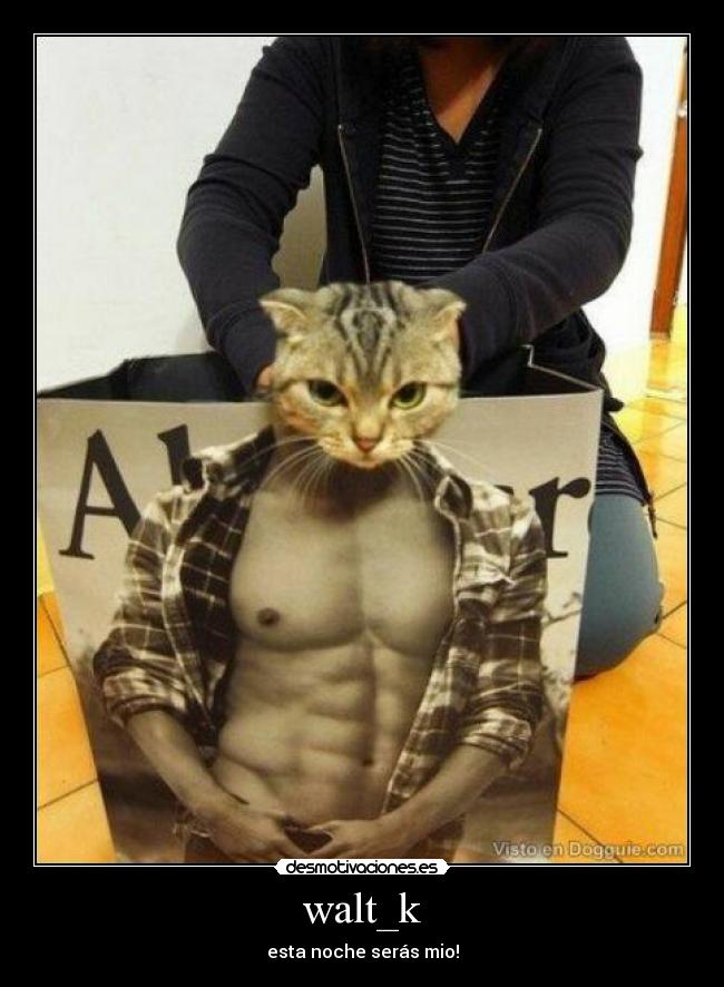 walt_k - esta noche serás mio!
