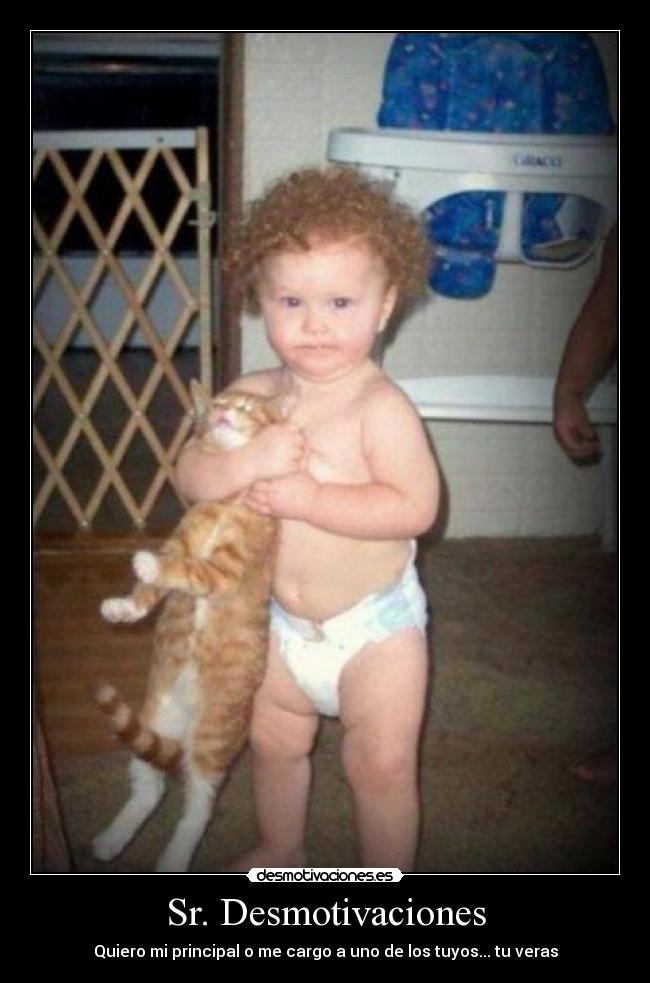 Sr. Desmotivaciones - Quiero mi principal o me cargo a uno de los tuyos... tu veras