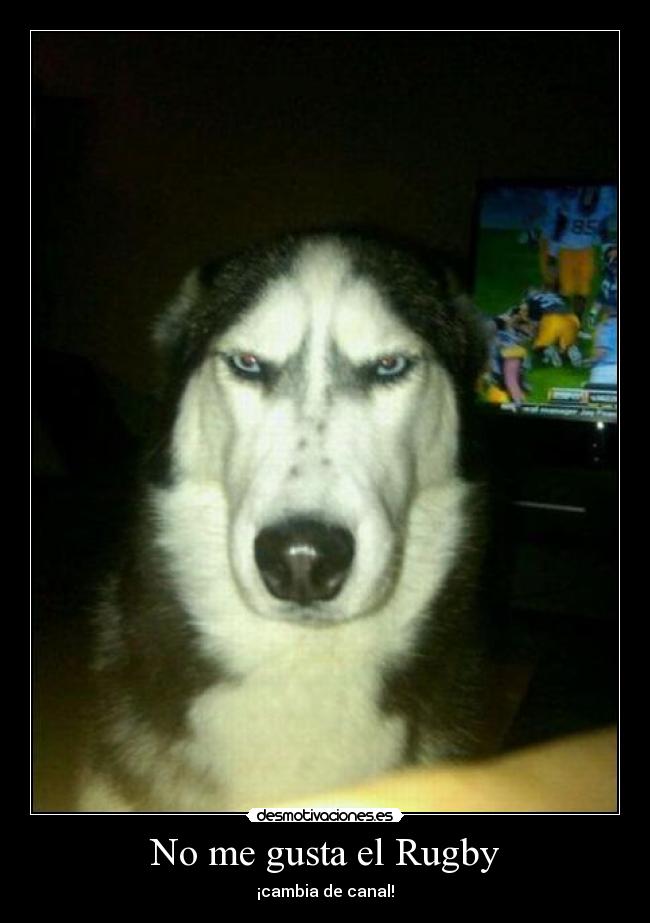 No me gusta el Rugby -