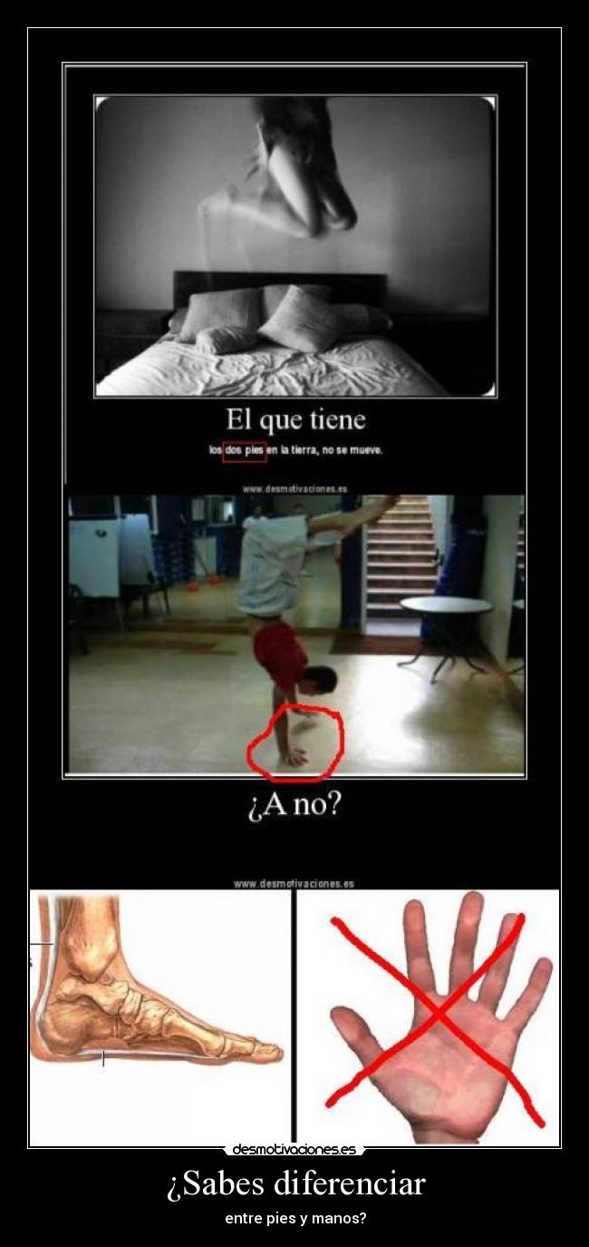 ¿Sabes diferenciar -