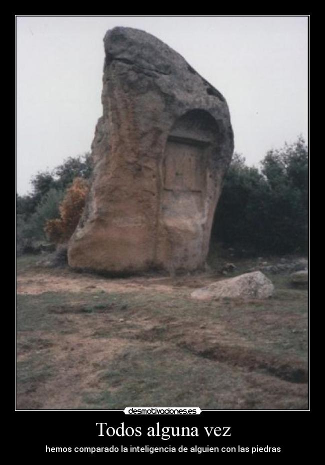 Todos alguna vez - hemos comparado la inteligencia de alguien con las piedras