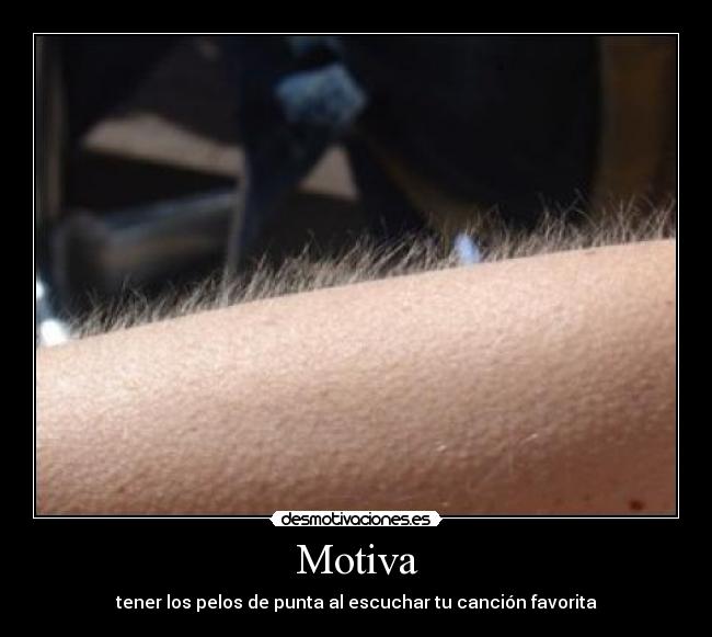 Motiva - 