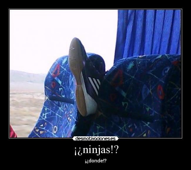 ¡¿ninjas!? - ¡¿donde!?