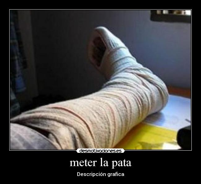 meter la pata - Descripción grafica