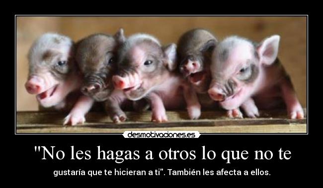 No les hagas a otros lo que no te - 