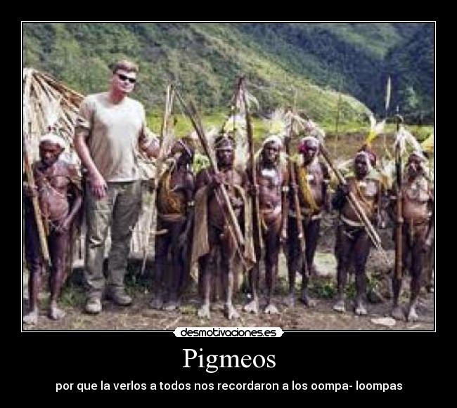 Pigmeos -