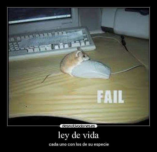 ley de vida - cada uno con los de su especie