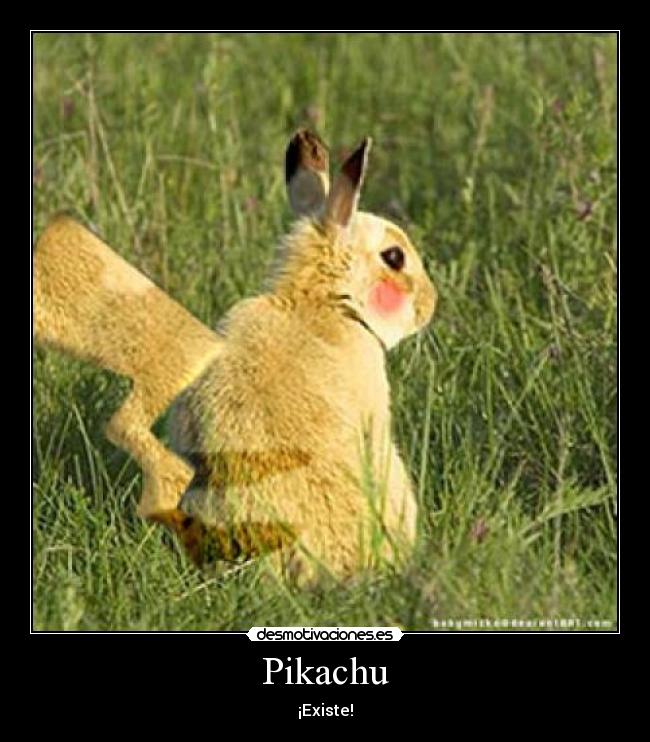 Pikachu - ¡Existe!
