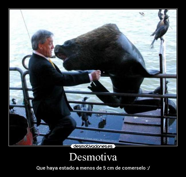 Desmotiva - Que haya estado a menos de 5 cm de comerselo :/