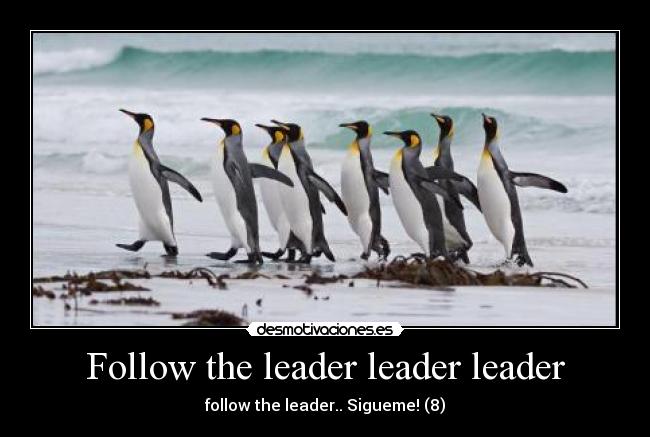 Follow the leader leader leader - follow the leader.. Sigueme! (8)