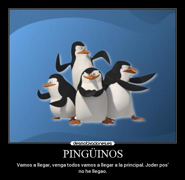 PINGÜINOS -