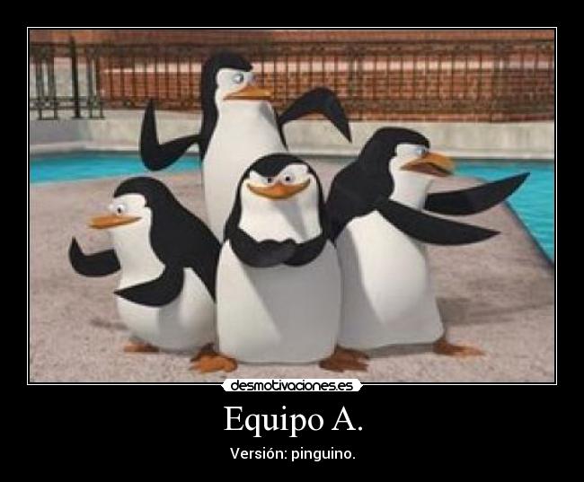 Equipo A. - Versión: pinguino.