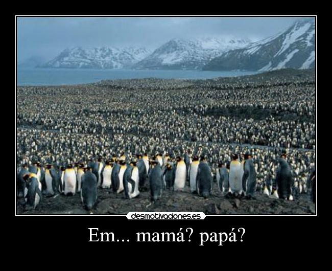 Em... mamá? papá? - 