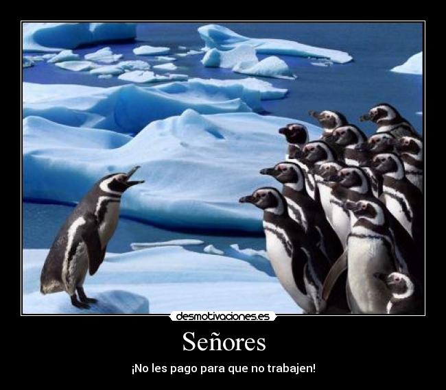 Señores - ¡No les pago para que no trabajen!