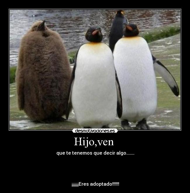 Hijo,ven -