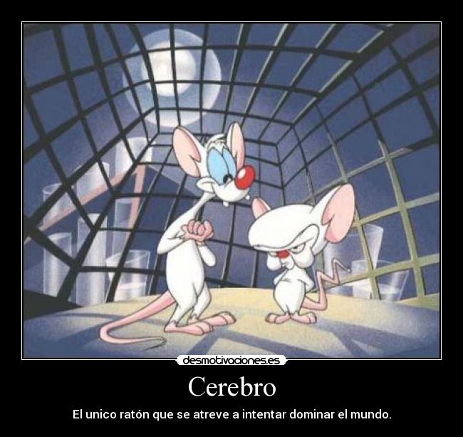 Cerebro - El unico ratón que se atreve a intentar dominar el mundo.