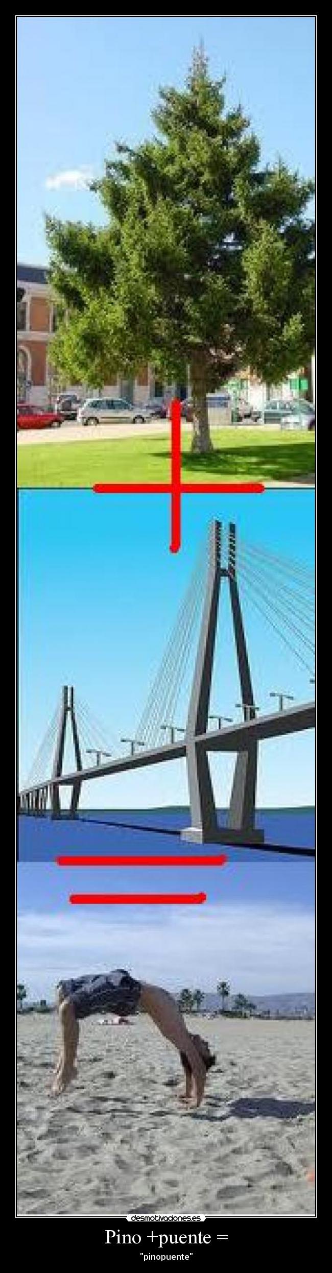 carteles pinopuente desmotivaciones