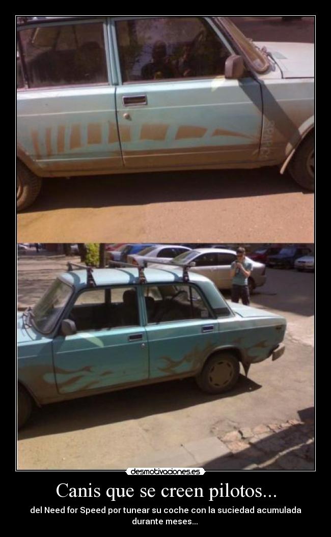 Canis que se creen pilotos... -