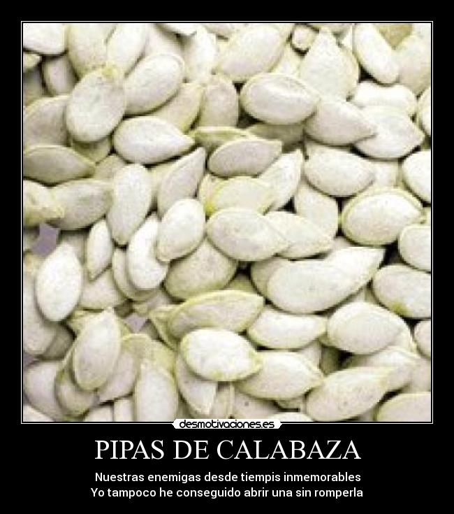 PIPAS DE CALABAZA - Nuestras enemigas desde tiempis inmemorables
Yo tampoco he conseguido abrir una sin romperla
